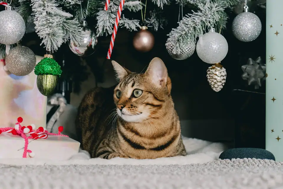 A tabby cat lying under a Christmas tree whose branches are tipped with white flocking