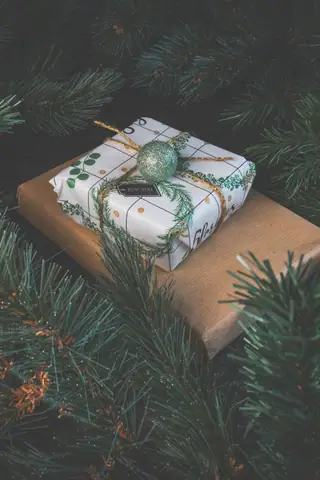 Gift on pine branches